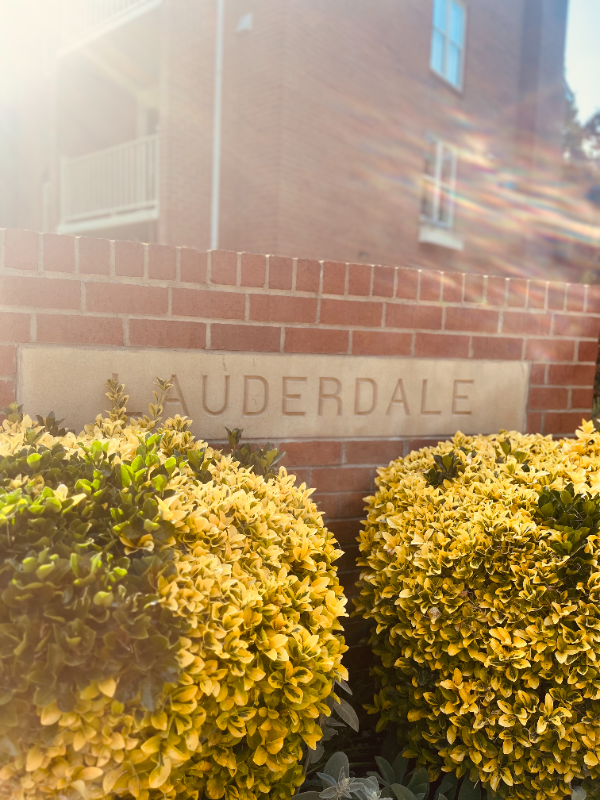 2156 Military Rd - Photo 3 of 15