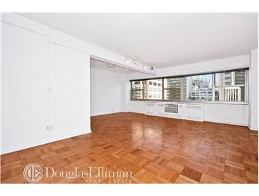 333 E 46th St #10L
