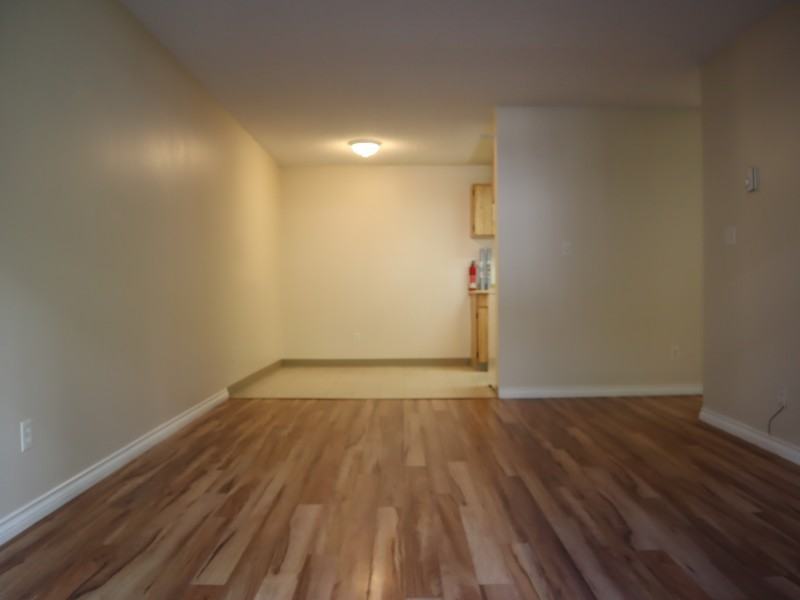 The Willows, North Facing with Large Private Concrete Patio Apartments