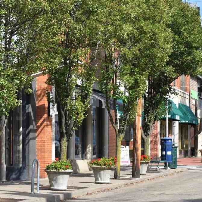 Mayflower - Photo 7 of 10