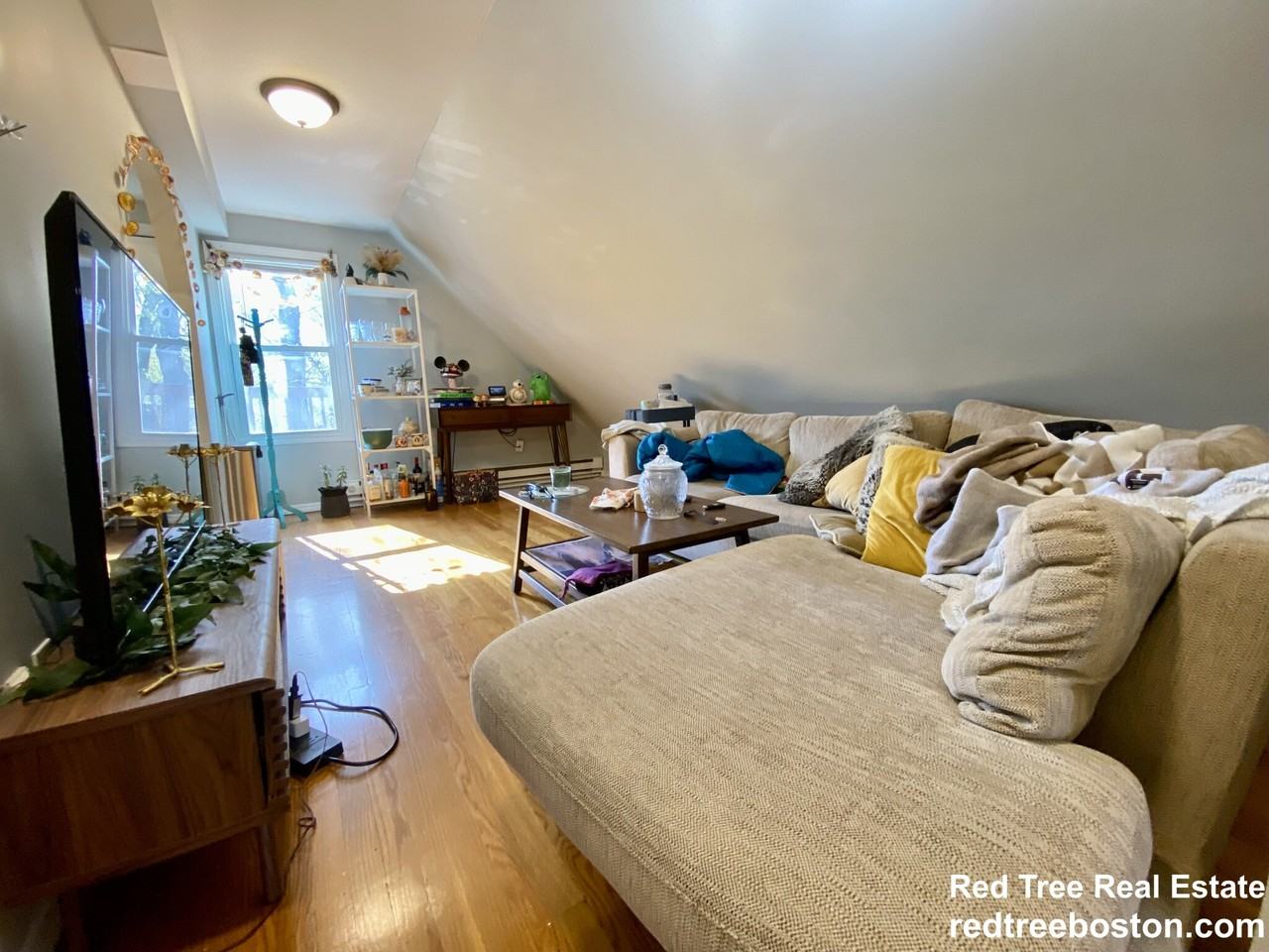 3142 Washington St #4 - Photo 3 of 23