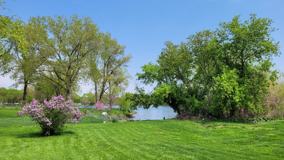 8806 Carole Circle - Photo 1 of 1