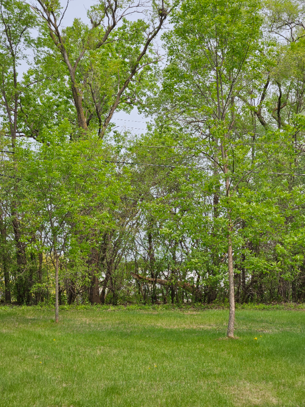 7342 W 14th St - Photo 2 of 4