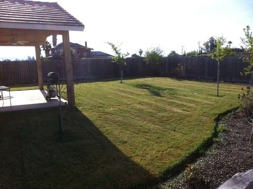 934 Maple Valley Way - Photo 2 of 7