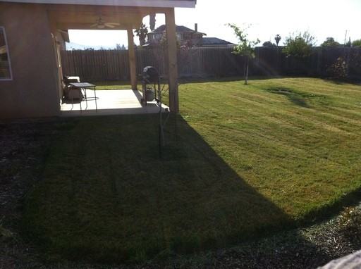 934 Maple Valley Way - Photo 3 of 7