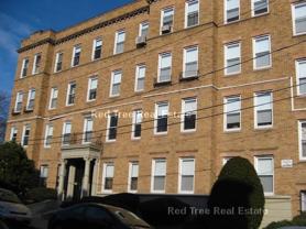 8 Vinal St #7 - Photo 1 of 1