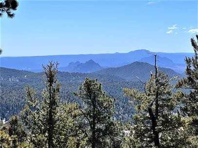 11730 Baca Rd - Photo 2 of 24