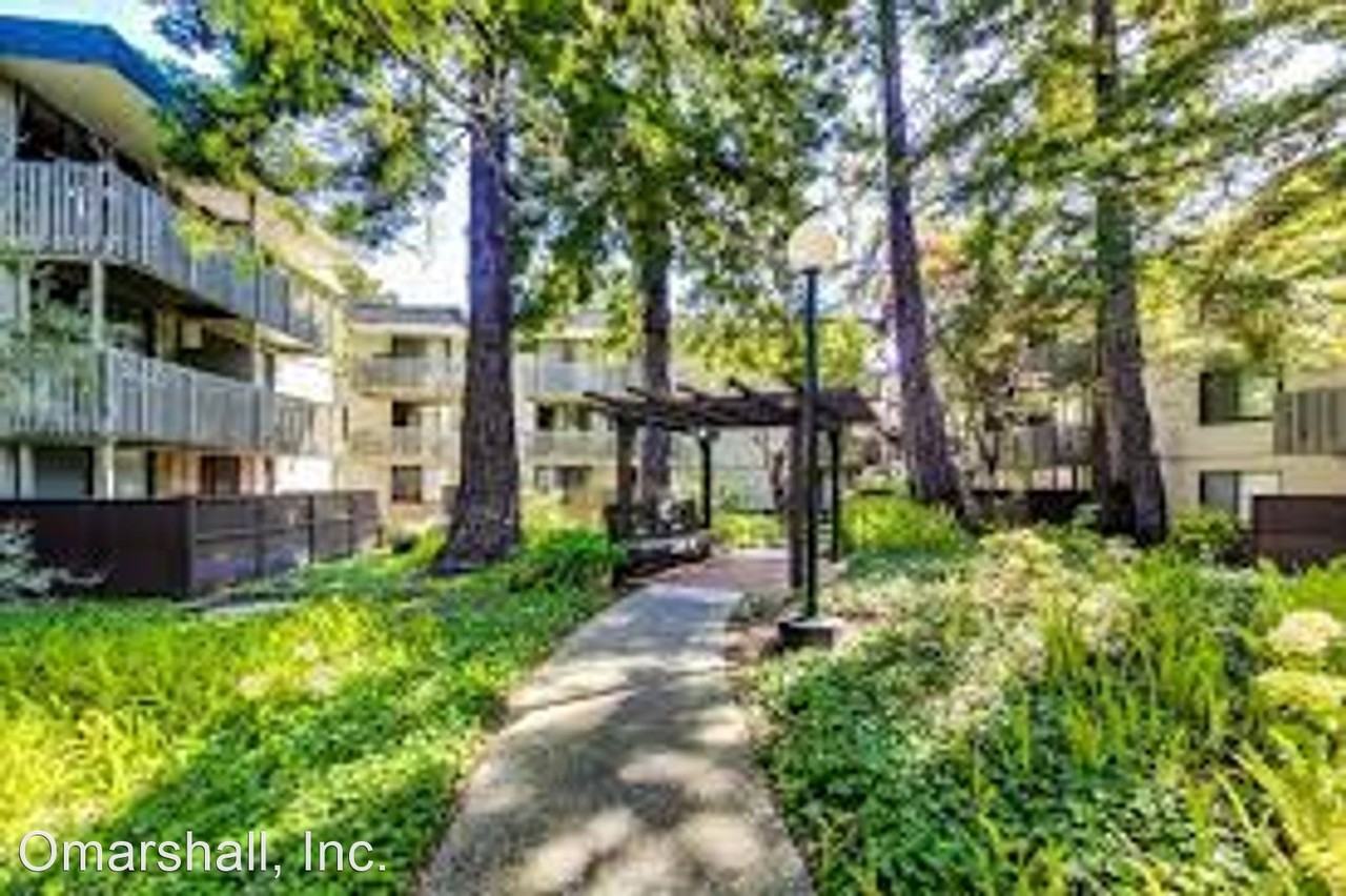 4305 Shelter Creek Ln - Photo 3 of 18