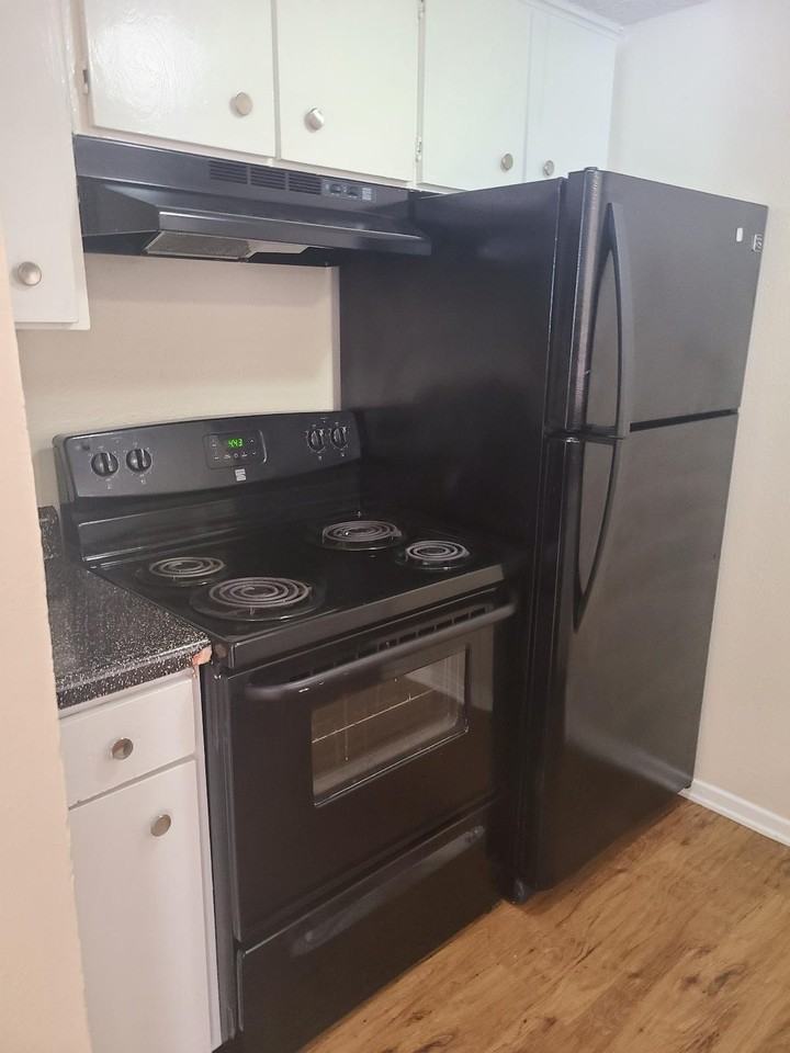 605 Del Paso St - Photo 3 of 18