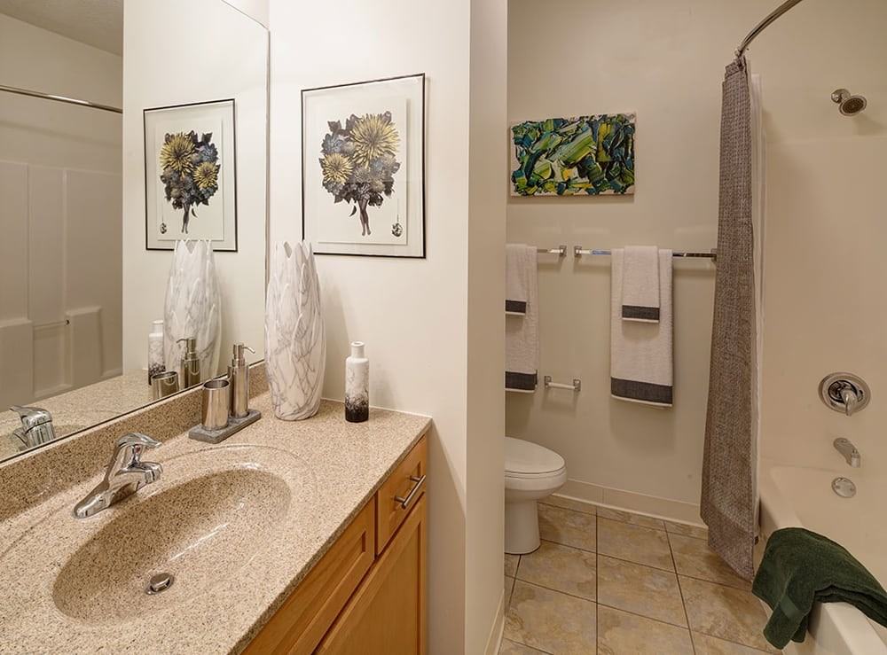 S Clark St #2312 - Photo 4 of 20