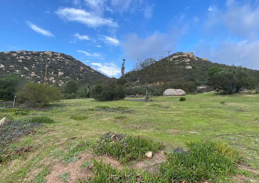 2737 Sarver Ln - Photo 3 of 14