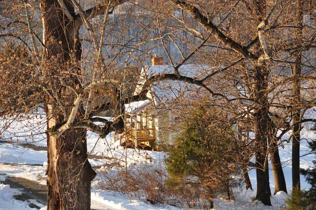 245 Goodwin Creek Trl #1 - Photo 4 of 22