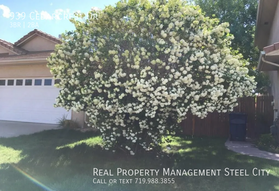 939 Cedarcrest Dr - Photo 3 of 12