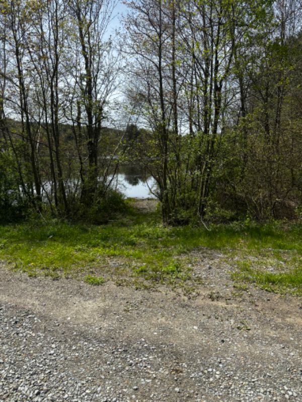 45 Newfoundland Dr - Photo 2 of 18