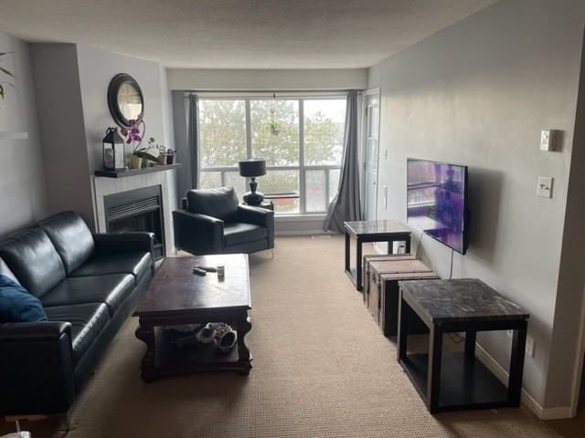 120 Bell Farm Road #309 - Photo 2 of 11