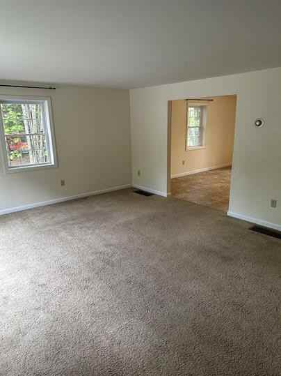 Bear Road - Photo 2 of 13