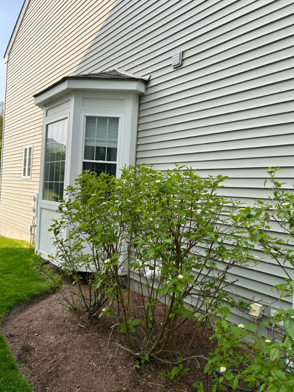 5 Frostpane Lane - Photo 2 of 20