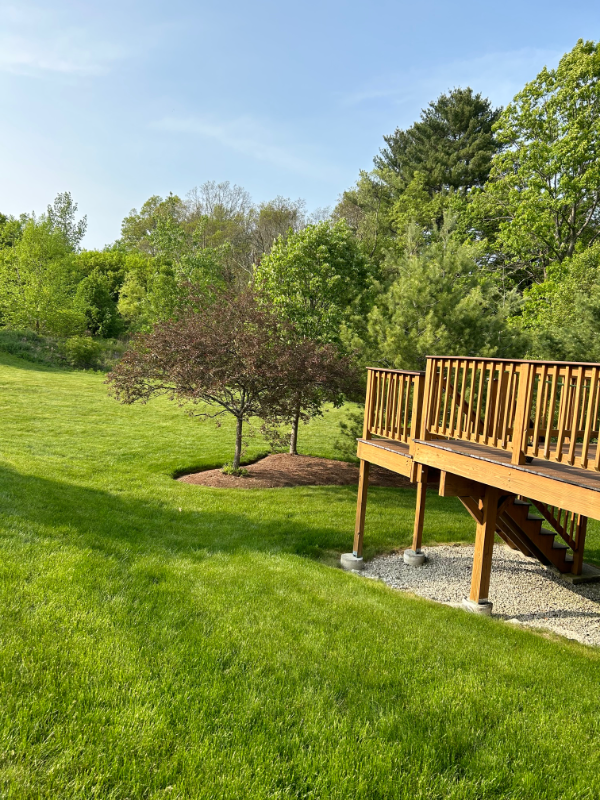 5 Frostpane Lane - Photo 3 of 20