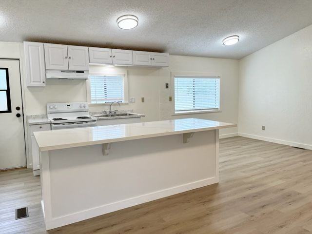 360 Benvenuto Ln - Photo 3 of 11