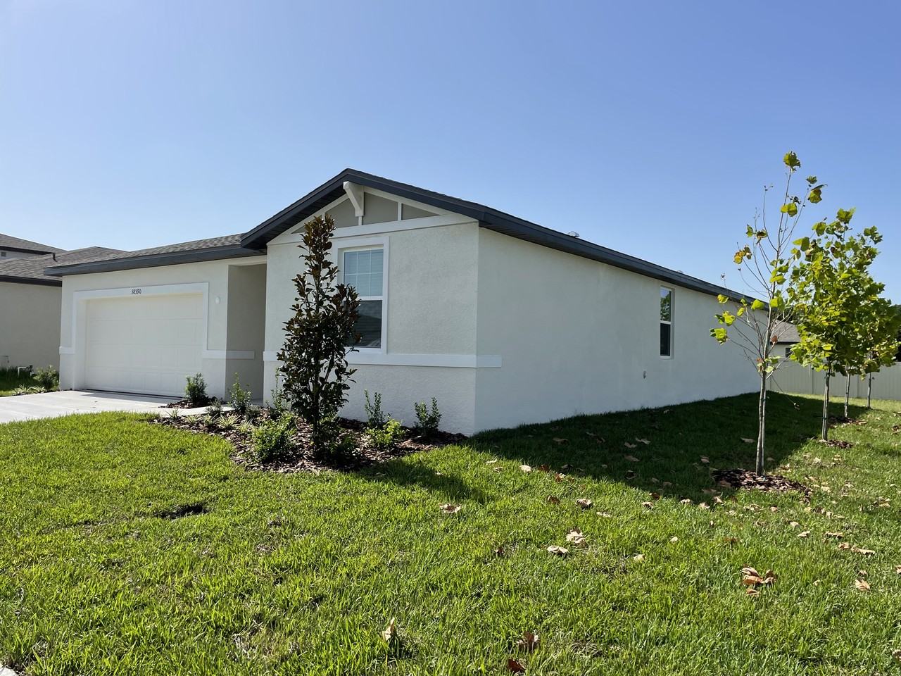 38590 Finn Clover Ln #NA - Photo 2 of 19