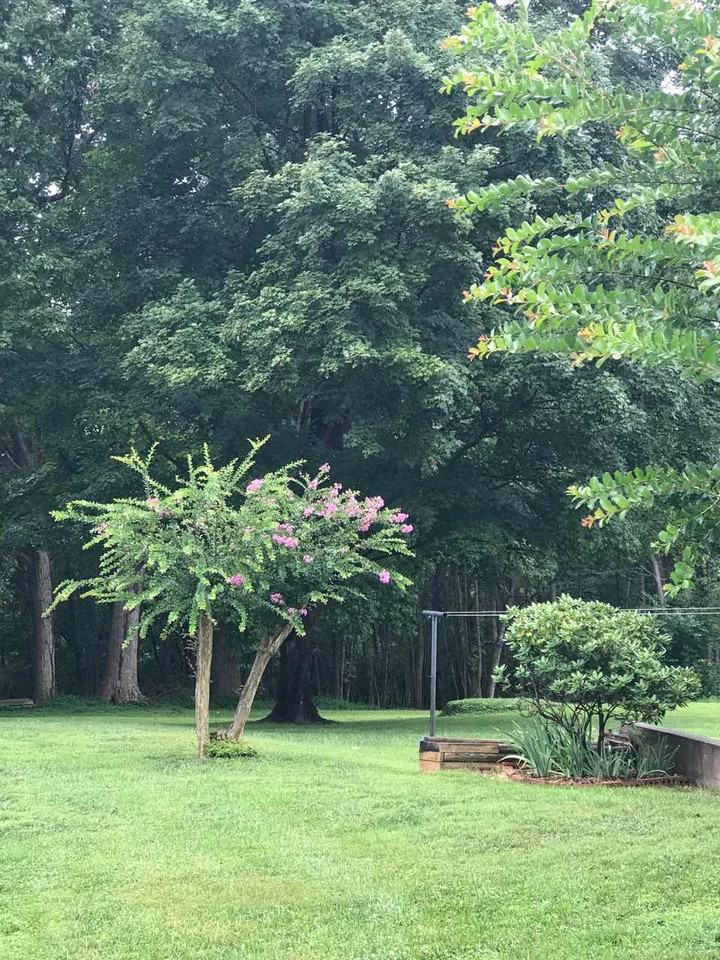 Houses for Rent In Lynchburg, VA 54 Rentals Available Zumper