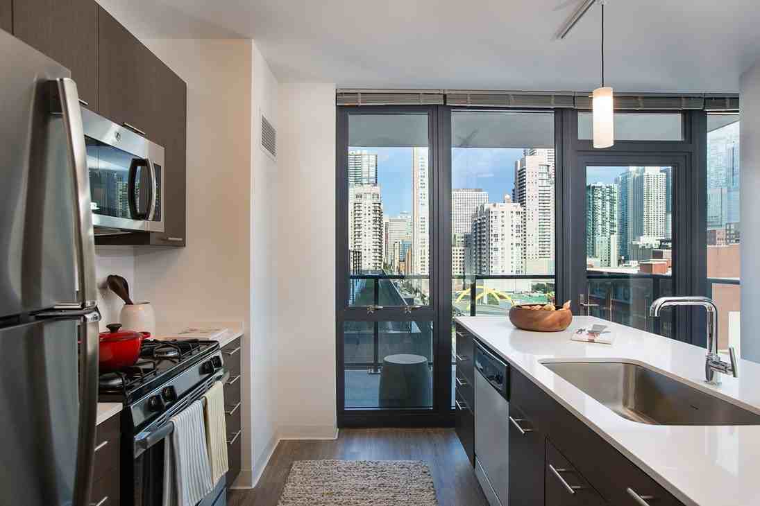 N Wells St #2115 - Photo 2 of 17