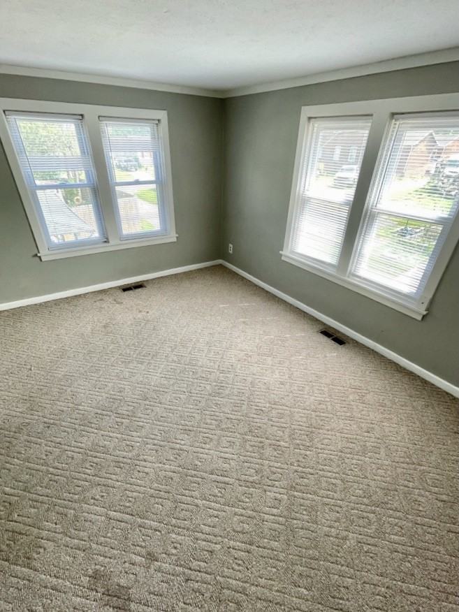 2017 1/2 N 16th St Rear - Photo 3 of 12