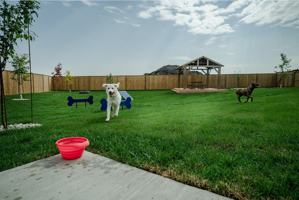 featured image of 277 Sand Piper Trail N