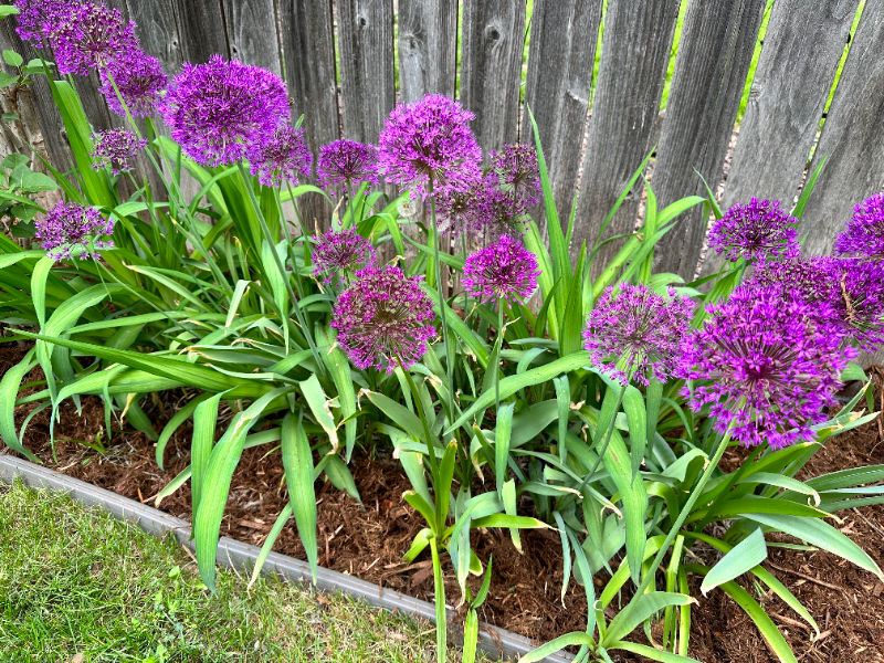 821 Juniper Ln - Photo 2 of 17