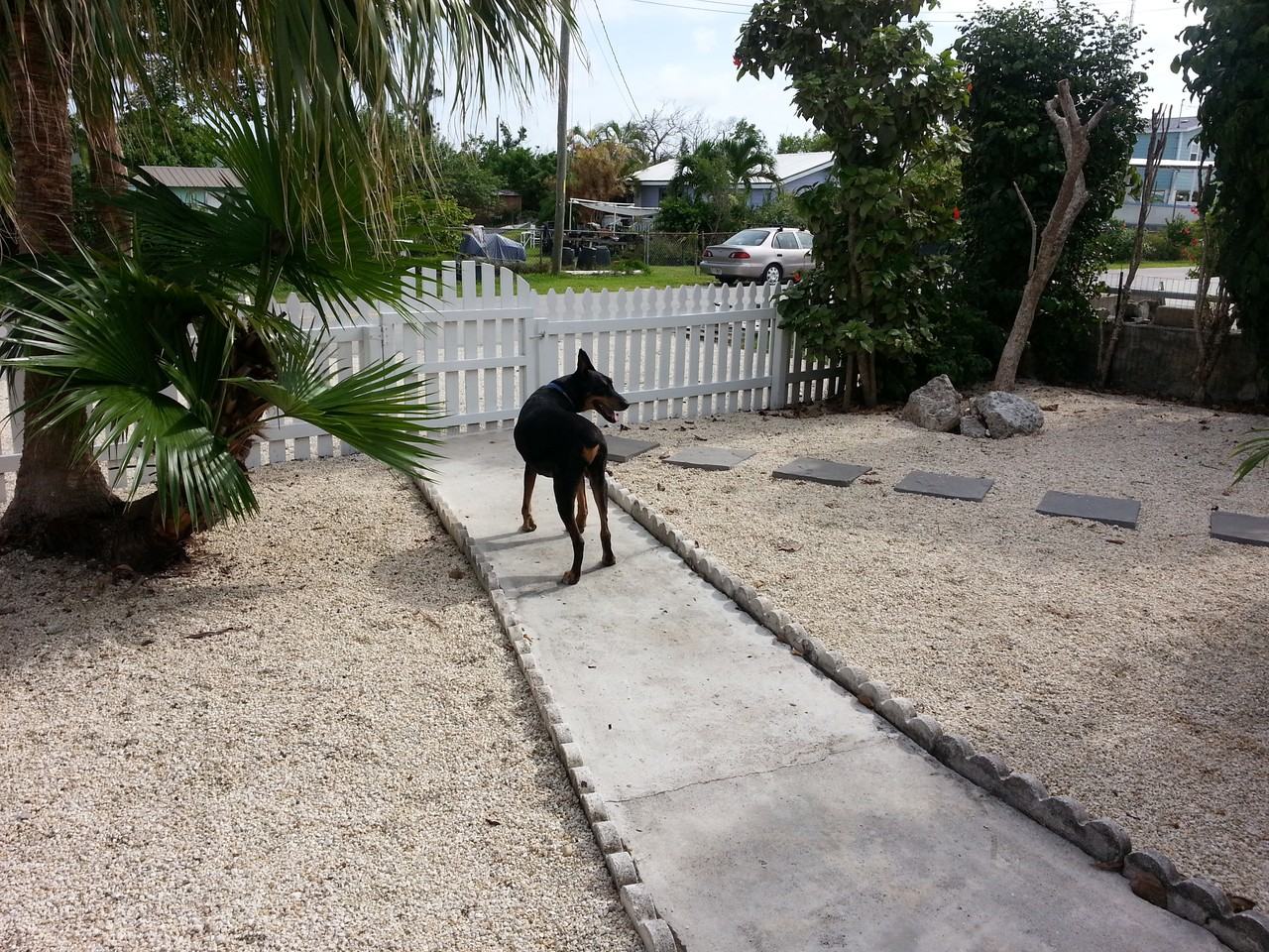 26965 Shannahan Rd #NA - Photo 2 of 16