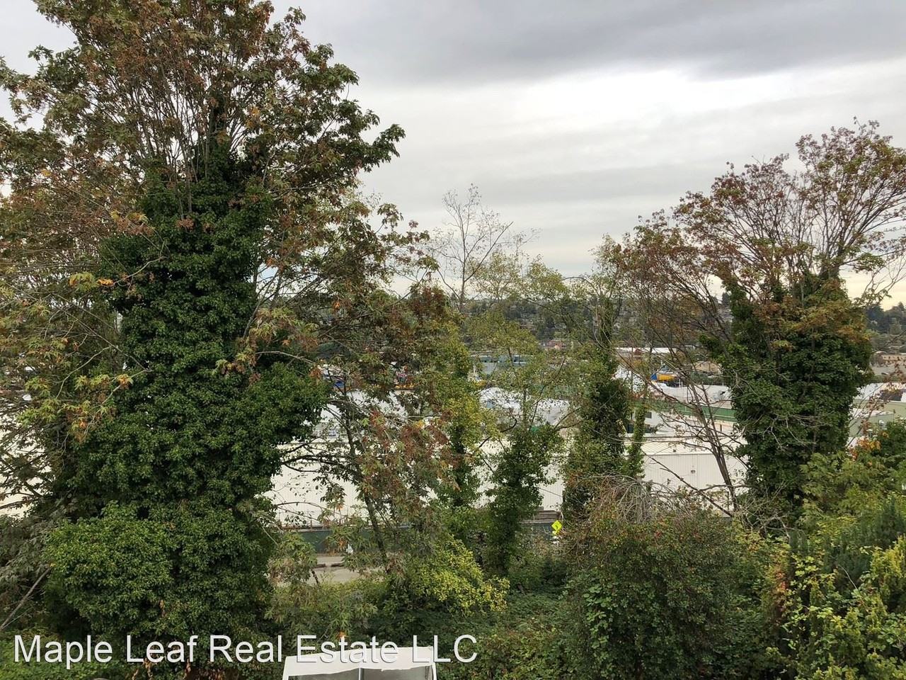 852 W Nickerson St - Photo 3 of 14