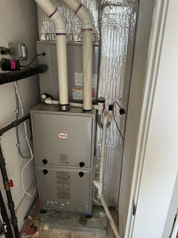 181 Chelsea St #3 - Photo 5 of 10