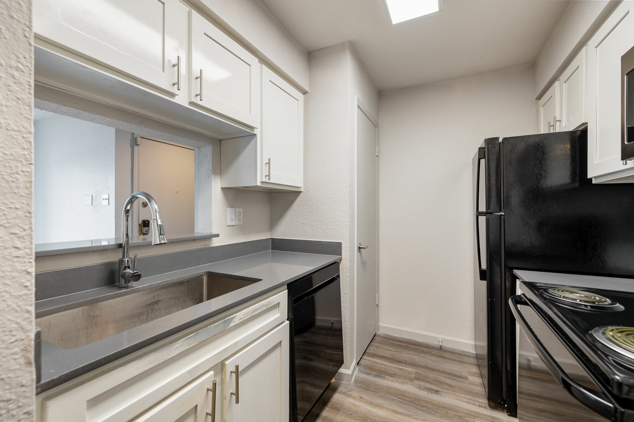 Urban Palms - Photo 7 of 27