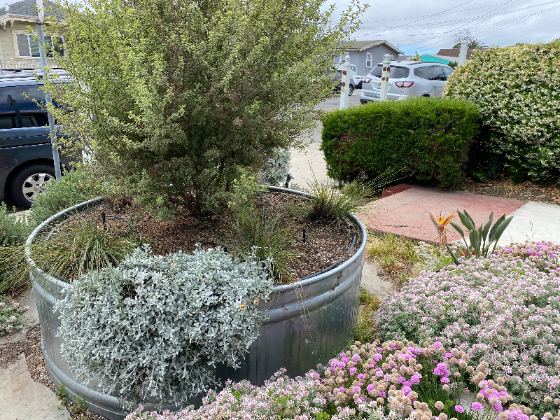 2205 48th Ave - Photo 2 of 22