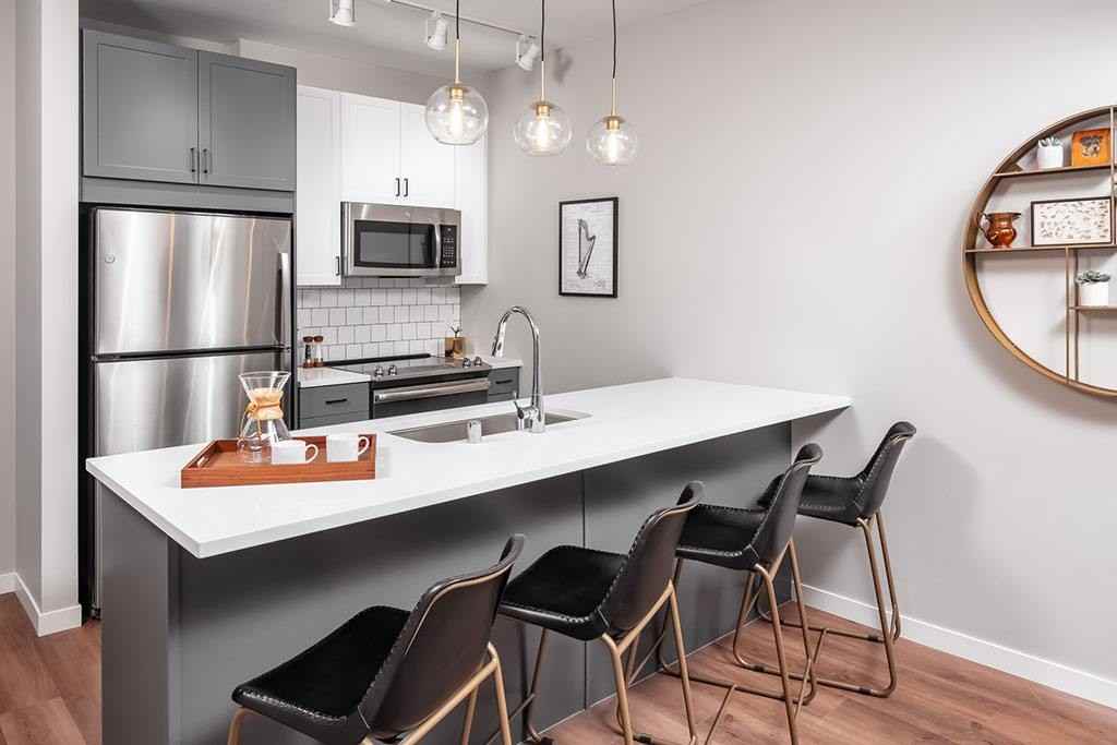 Harper - Photo 5 of 50