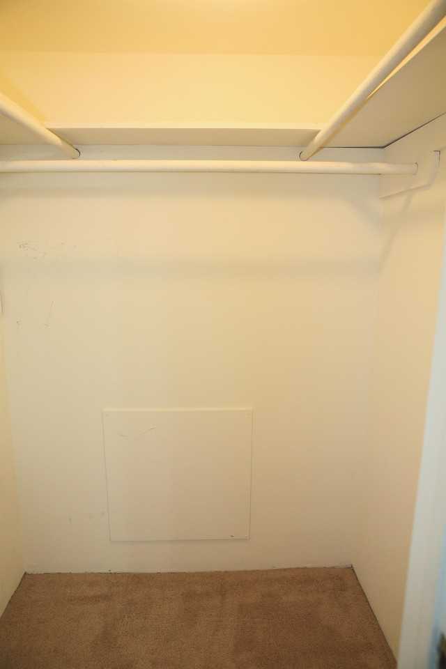 411 Hickory St #411UNIT7 - Photo 6 of 11