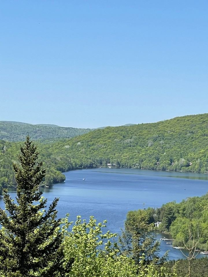 206 Rue du Mont-Plaisant - Photo 2 of 20