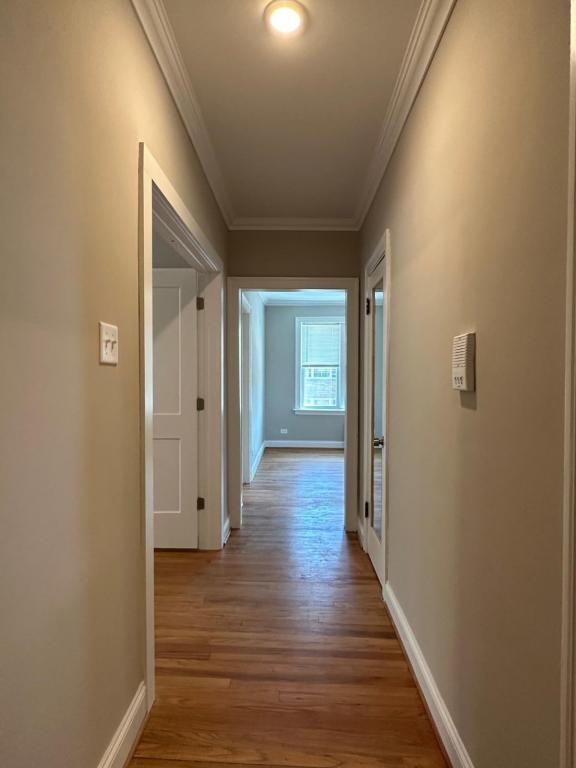 6556 S California Ave Apt 2 - Photo 6 of 11