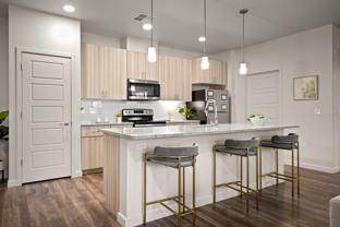 Acero Estrella Commons - Photo 1 of 1