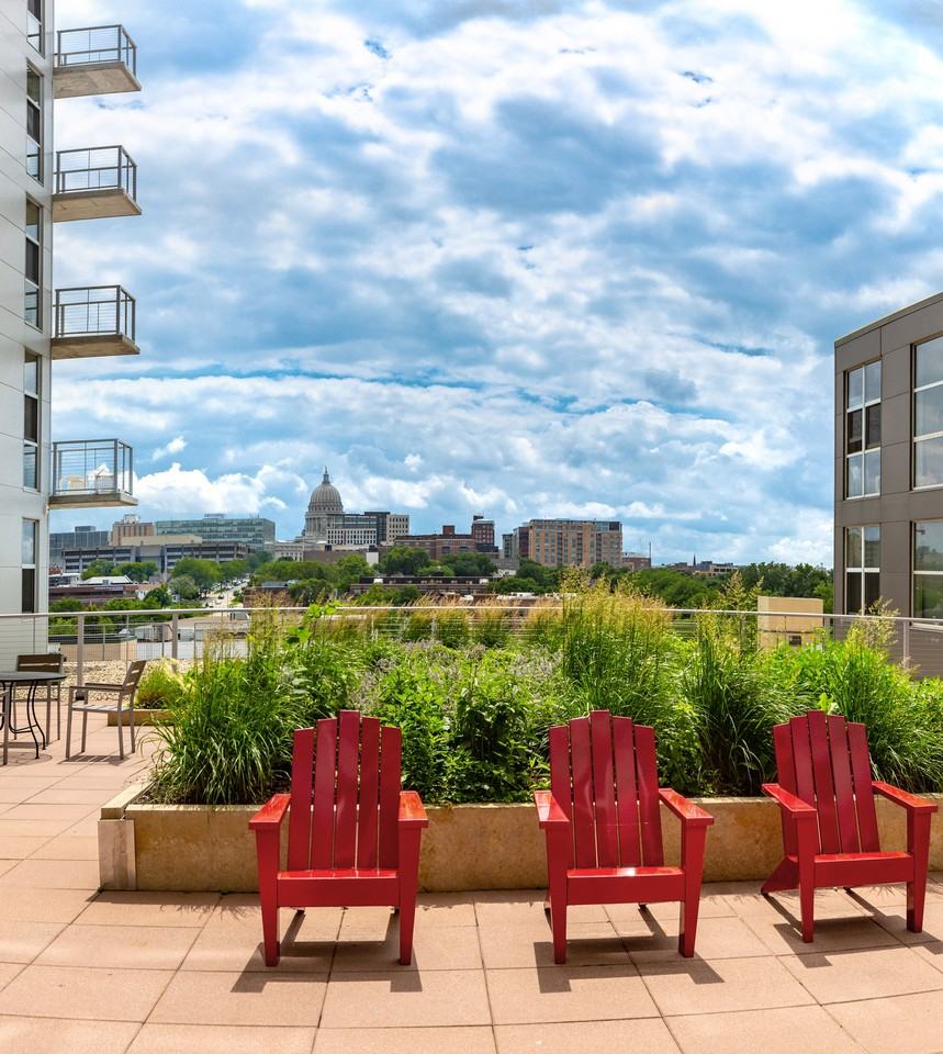 Constellation - Photo 2 of 50