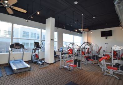 Constellation - Photo 3 of 50