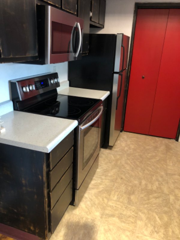 530 E Patriot Blvd #146 - Photo 3 of 20
