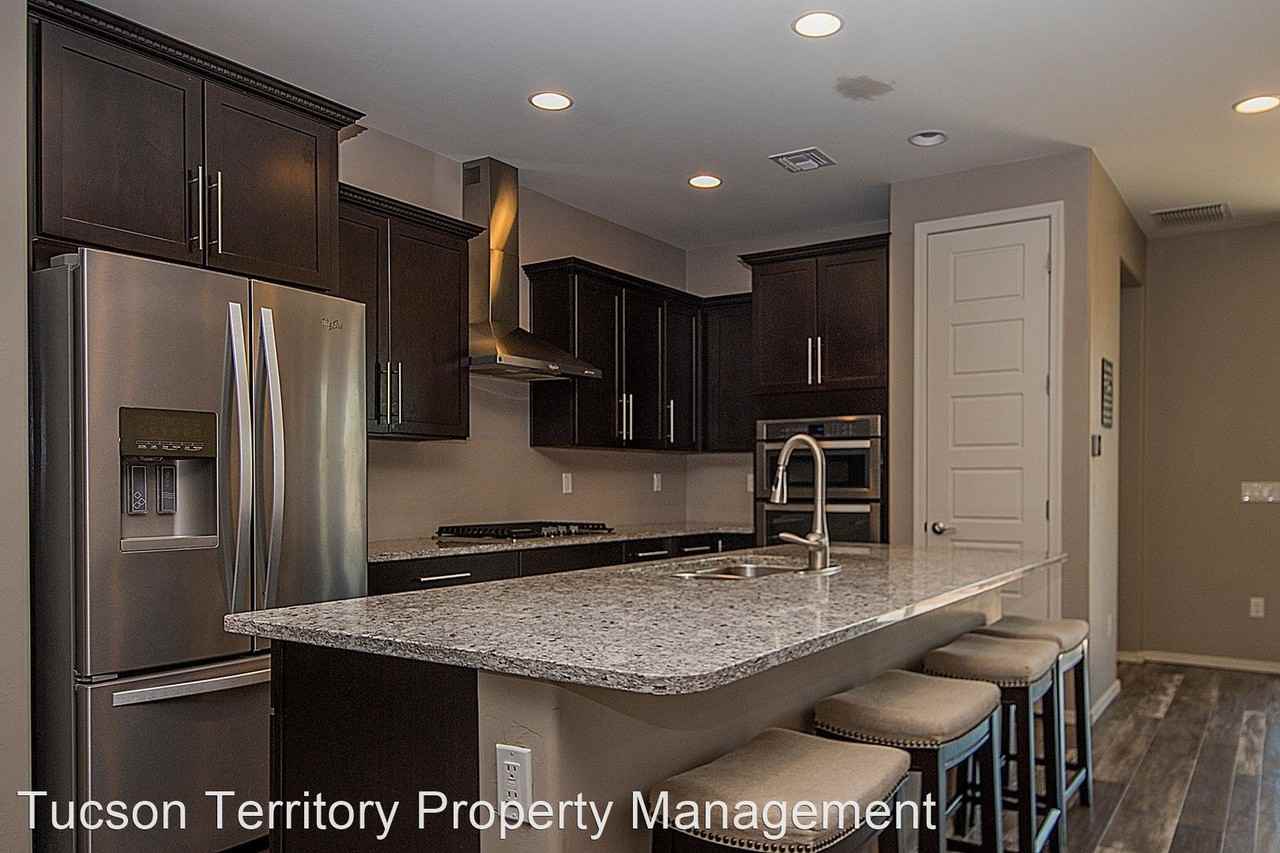 13846 S Camino Acelga - Photo 3 of 19