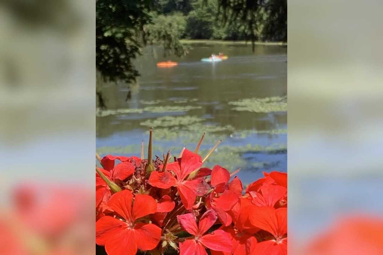 1116 W 7th Pl - Photo 2 of 16