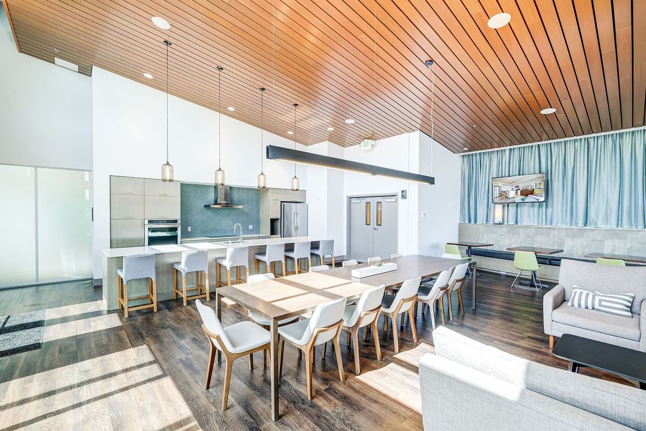 Spruce - Photo 2 of 35