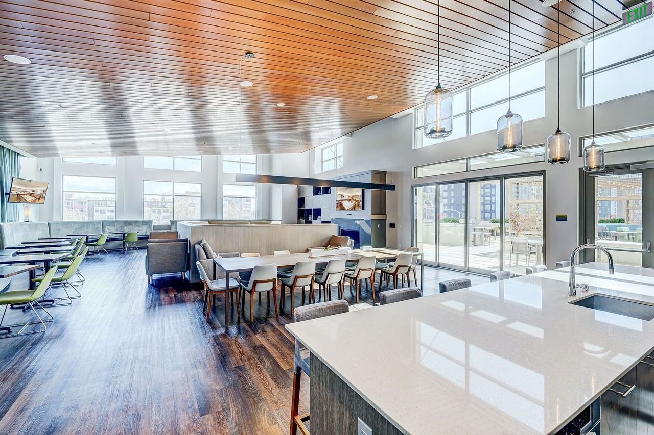 Spruce - Photo 3 of 35