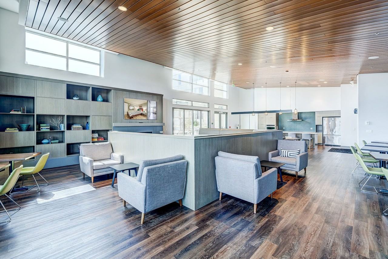 Spruce - Photo 4 of 35