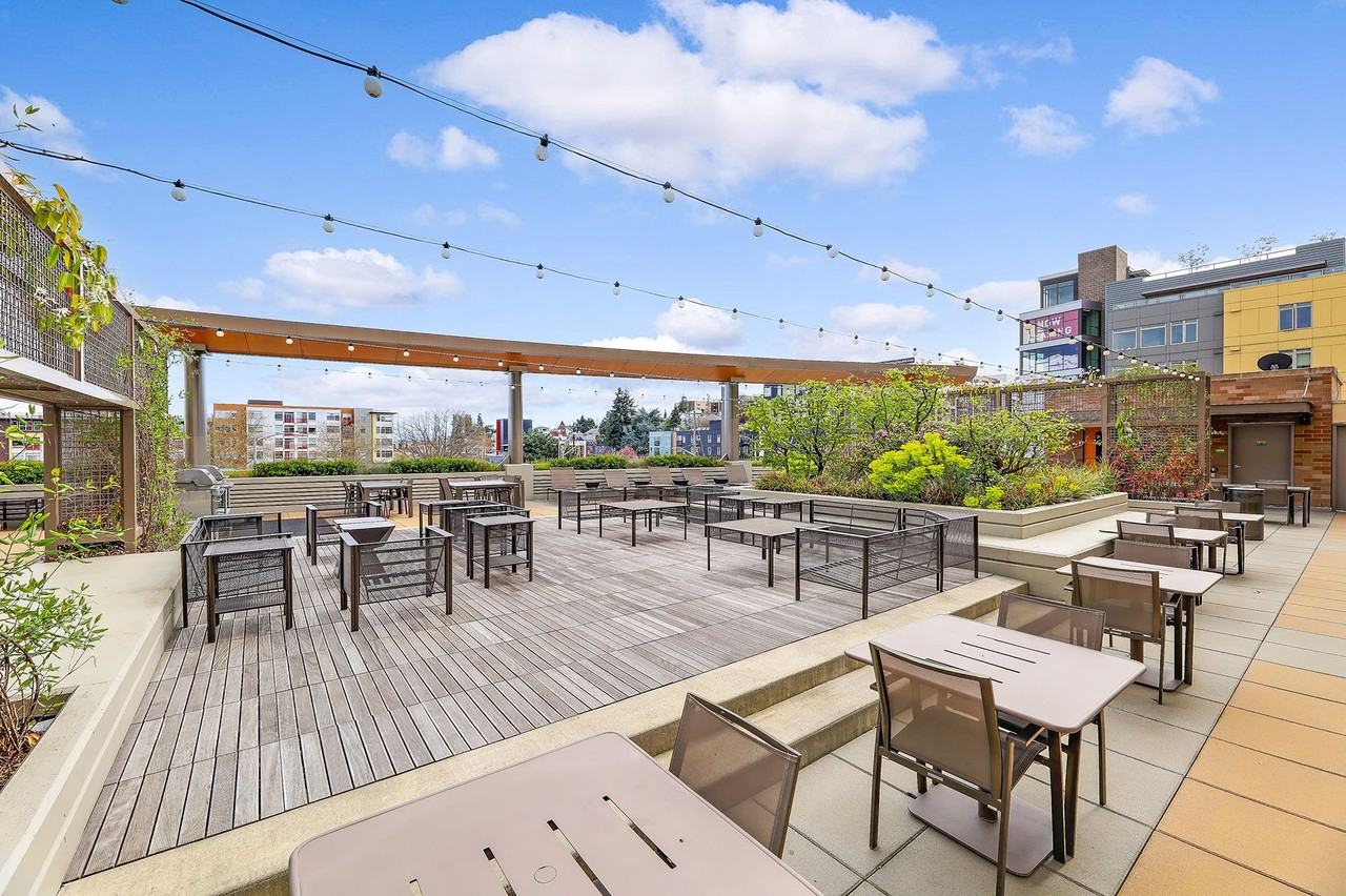 Spruce - Photo 6 of 35