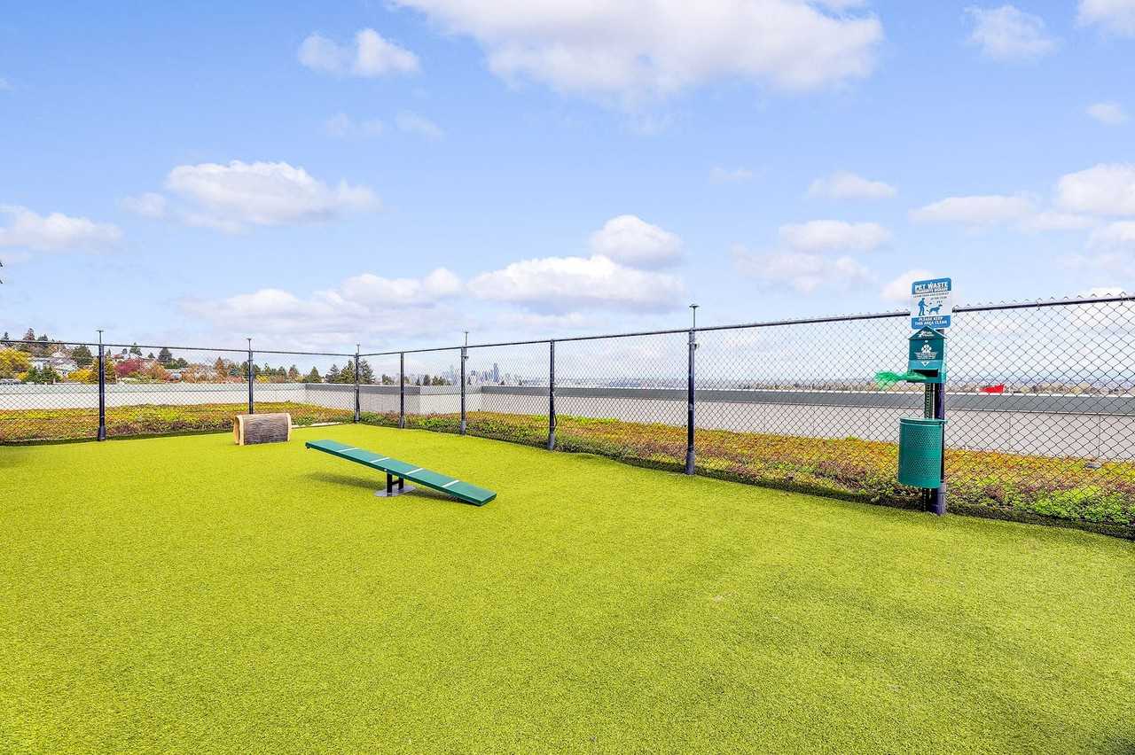 Spruce - Photo 7 of 35