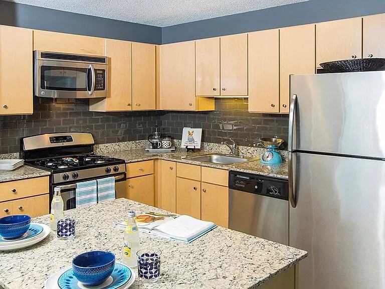 N Columbus Dr #4407 - Photo 5 of 23